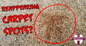 reappearing carpet spot