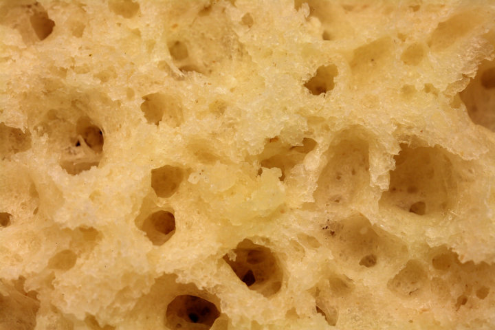closeup of english muffin