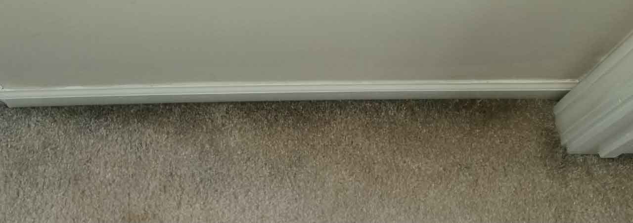 What are those black streaks on my carpet?